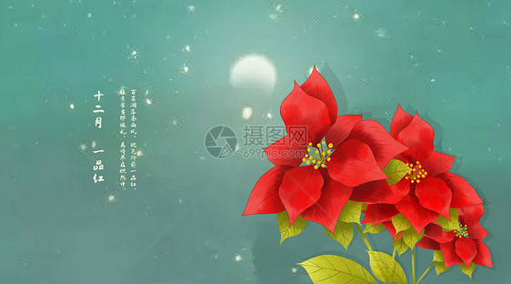 中国风花卉图片