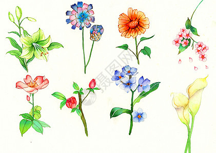 水彩手绘花卉背景图片