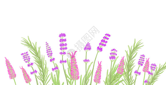 花卉背景素材图片