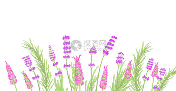 花卉背景素材图片