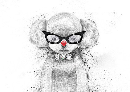 黑白宠物插画泰迪小狗高清图片素材