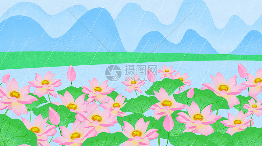 雨中荷花图片