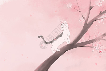 爬樱花树的猫图片