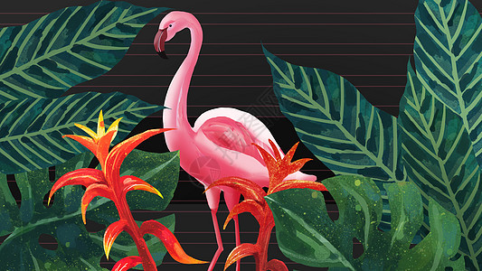 火烈鸟热带植被素材图片