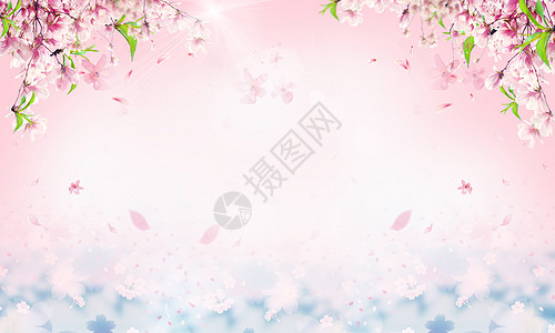 粉红底色唯美花朵背景设计图片