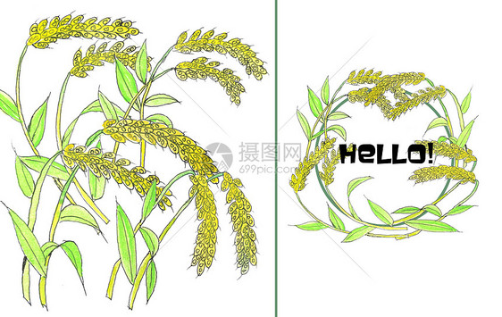 手绘水彩谷子图片素材_免费下载_psd图片格式_vrf高清图片400120011
