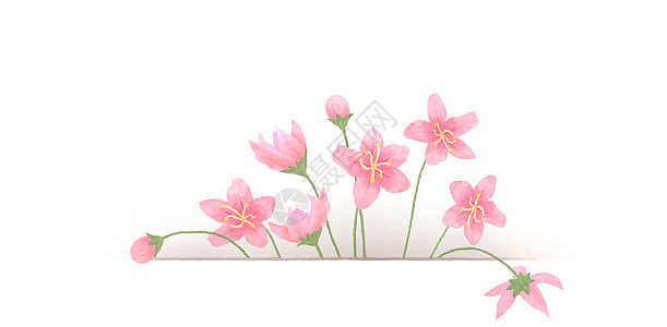 简约花卉背景图片