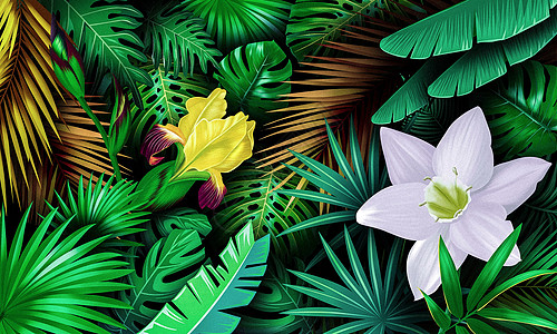 热带植物花卉背景高清图片
