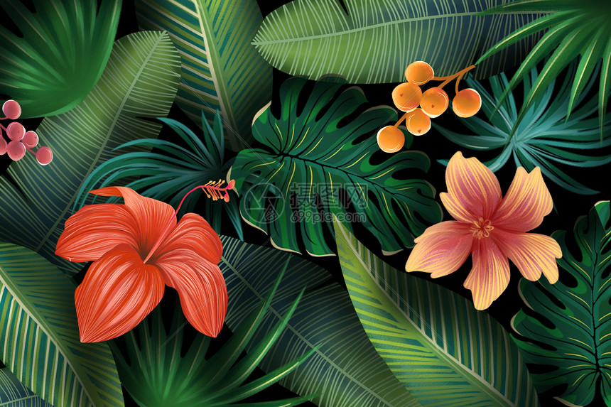 热带植物花卉图片