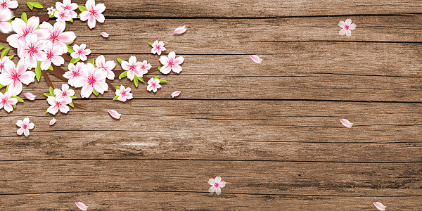 手绘化妆品木板上的樱花设计图片