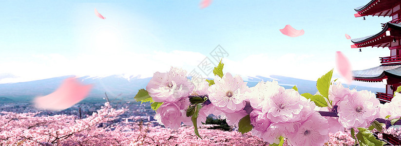 粉色浪漫樱花化妆品背景图片