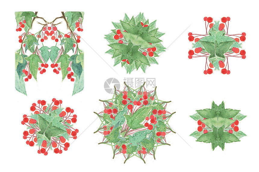 水彩植被元素图片