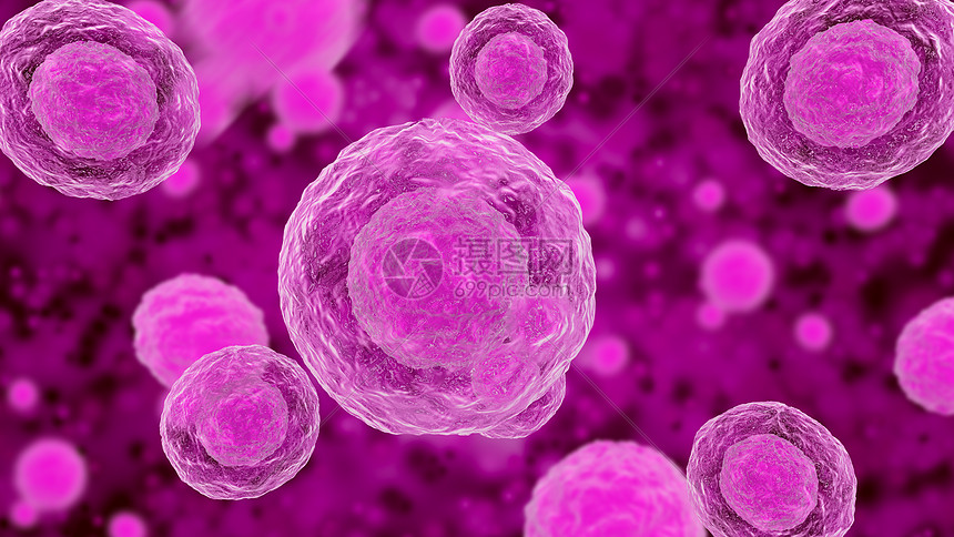 圆形粉色细胞图片