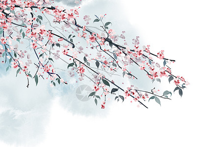 中国风水墨花卉背景插画