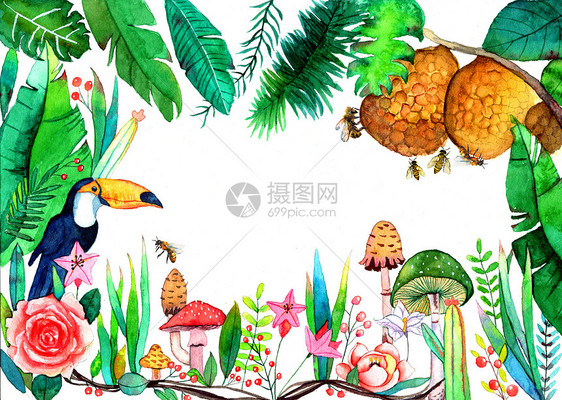水彩手绘热带雨林图片