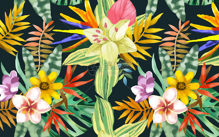 花卉植物背景图片