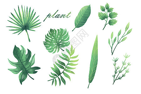 清新植物元素合集背景图片