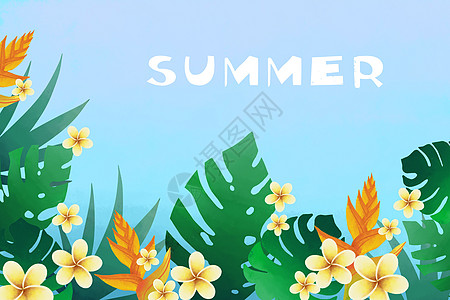 夏天字母花卉植被背景图片