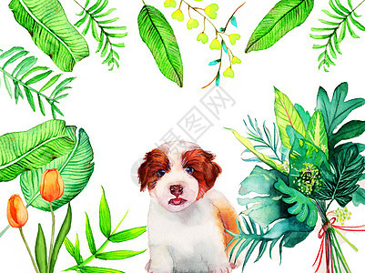 水彩手绘植物动物图片