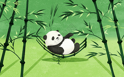 国宝熊猫云南印象高清图片