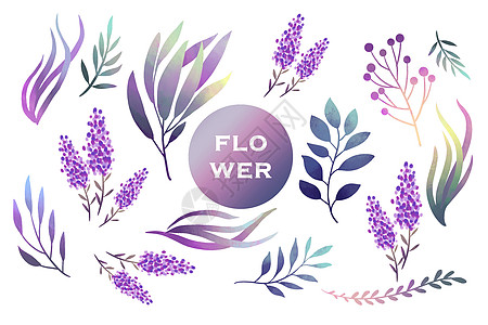 紫色薰衣草花卉植物元素背景图片