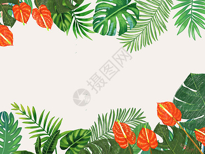 水彩热带树叶花卉背景图片