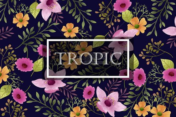 黑底热带花卉植被边框字母背景图片