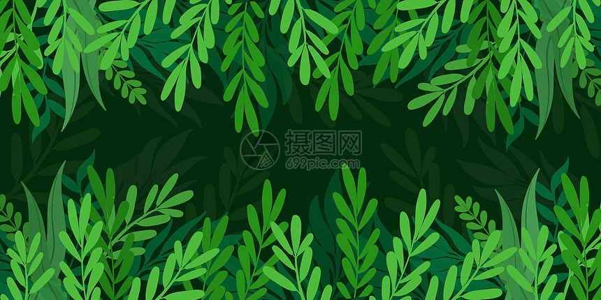 绿色植物背景图片