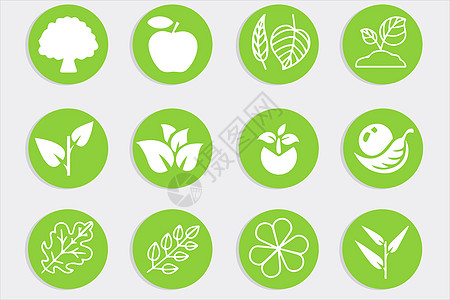 野生豌豆植物类图标插画