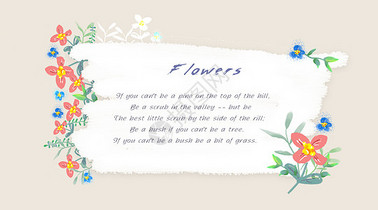花卉装饰背景图片