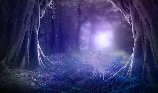 白色雾气紫色迷雾森林里的麋鹿设计图片