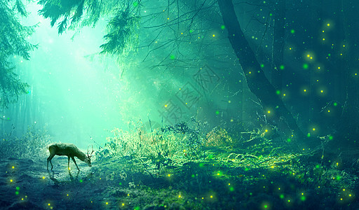 神秘梦幻绿光森林与麋鹿设计图片