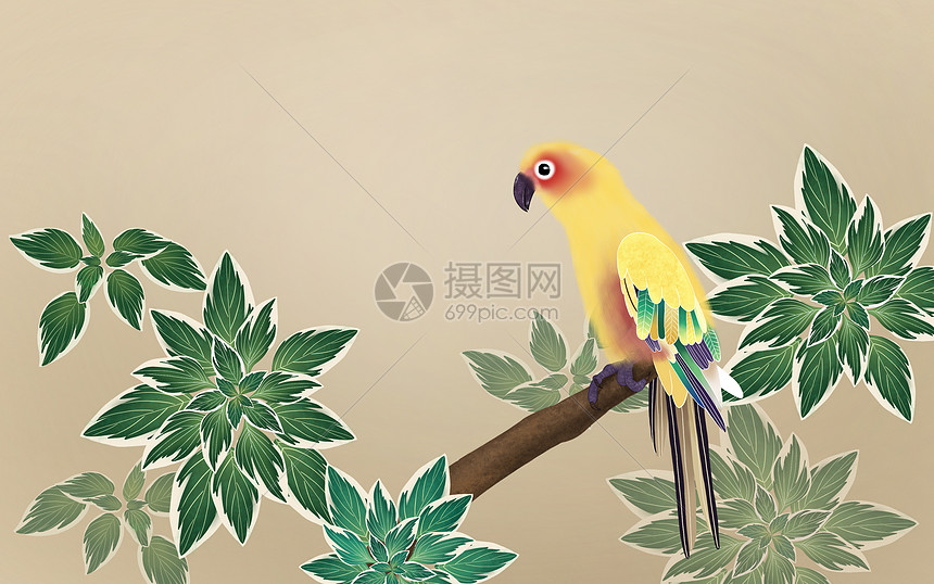 鹦鹉热带植物背景图片