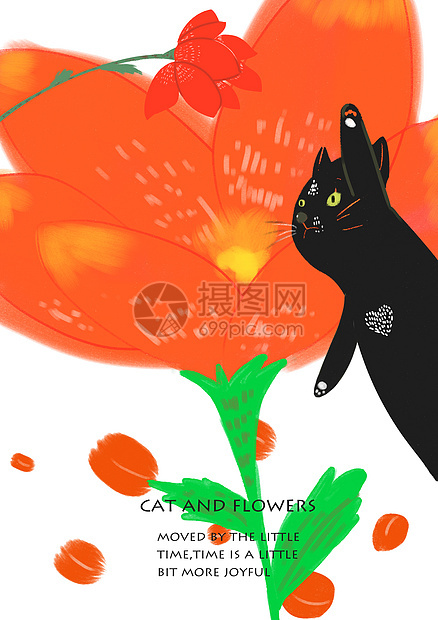 花朵和猫图片