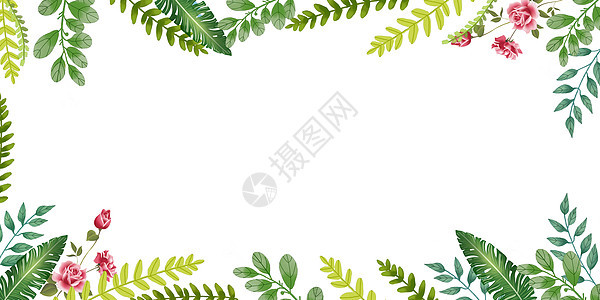 水彩植物背景图片