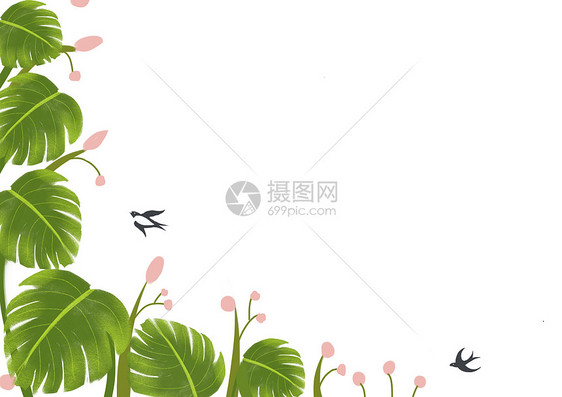 龟背竹植物背景图图片