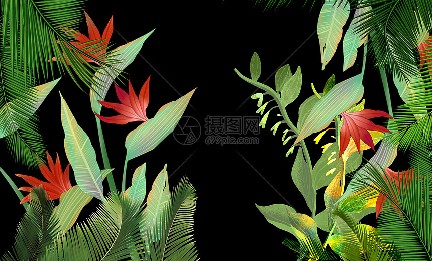 夏天热带植物背景