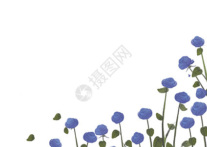 蓝色花草边框植物二分之一留白背景插画