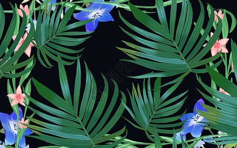 夏季植物背景图片