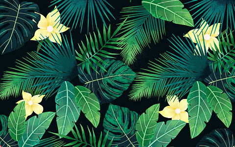 夏季热带植物背景高清图片