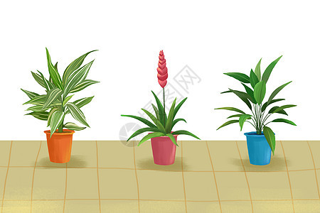 手绘植物素材背景图片