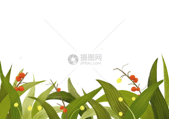 花卉植物留白背景图片