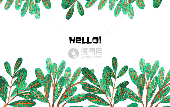 手绘水彩植物图片