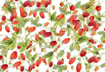 大草莓草莓植物背景素材插画