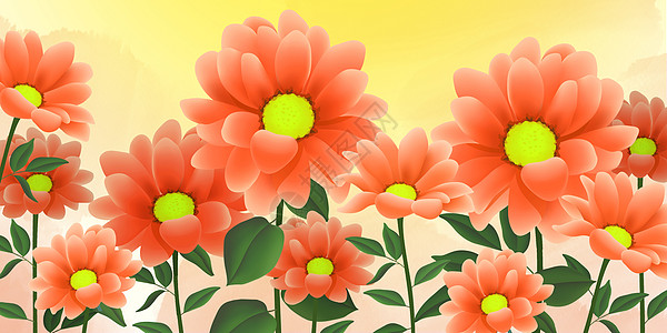 太阳花插图背景图片