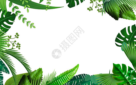 夏水彩植物背景插画