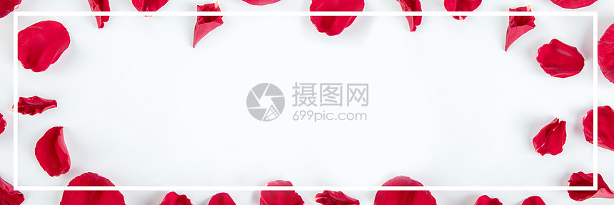 花瓣边框banner图片