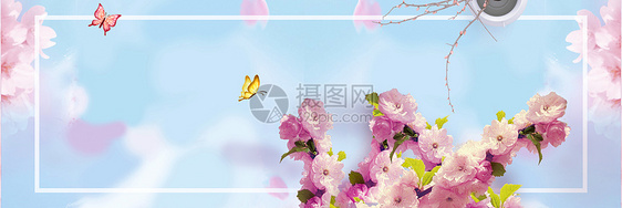 清新banner图片
