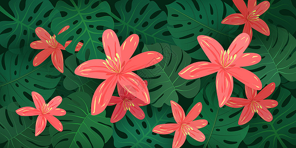 花卉背景插图背景图片
