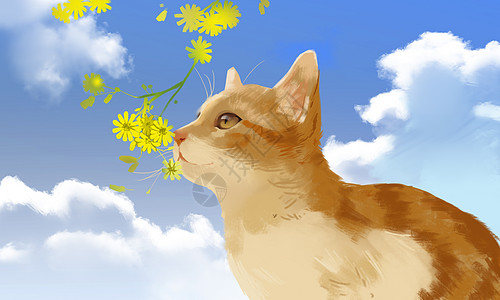 猫咪与花朵图片